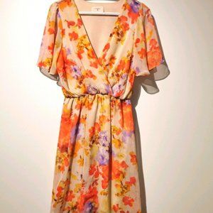 Anthropologie Everly floral v neck short dress m